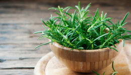 rosemary-1